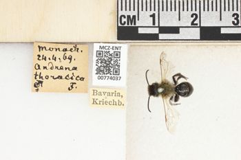 Media type: image;   Entomology 774037 Aspect: Labels